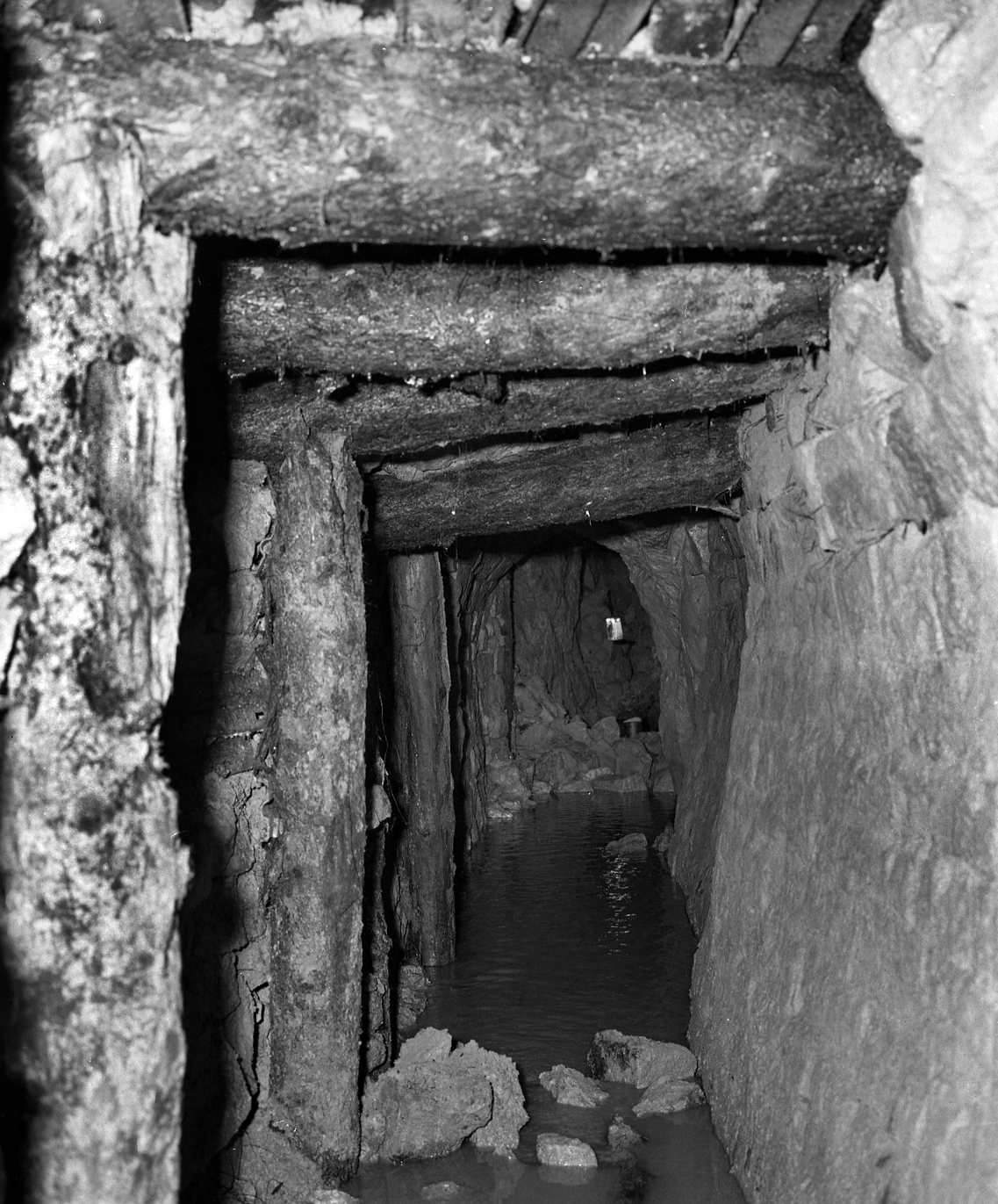 Gillfield Level 1968 b